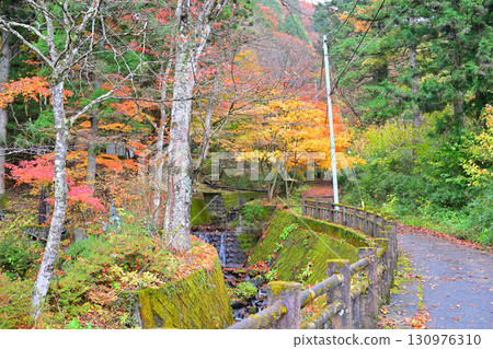 Autumn leaves along the stream near the second torii gate of Haruna Shrine in late autumn 130976310
