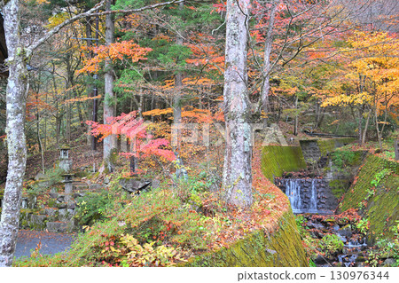 Autumn leaves along the stream near the second torii gate of Haruna Shrine in late autumn 130976344