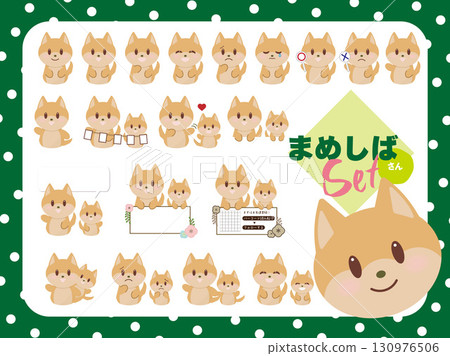 Cute poses and facial expressions of Mameshiba Cute poses and facial expressions of Mameshiba 130976506