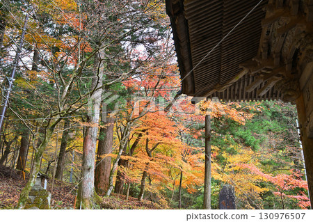 Autumn leaves at their best near the second torii gate of Haruna Shrine in late autumn Autumn leaves at their best near the second torii gate of Haruna Shrine in late autumn 130976507