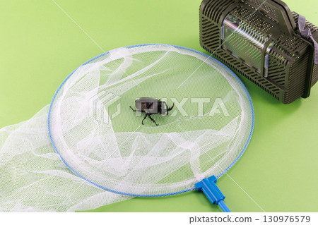 Insect collection image Insect collection image 130976579