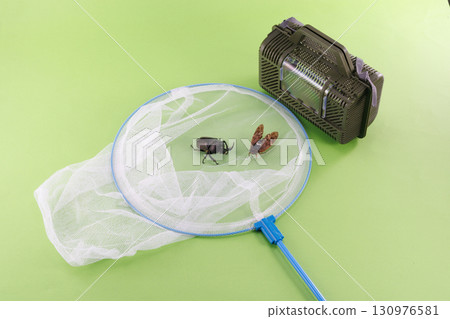 Insect collection image Insect collection image 130976581