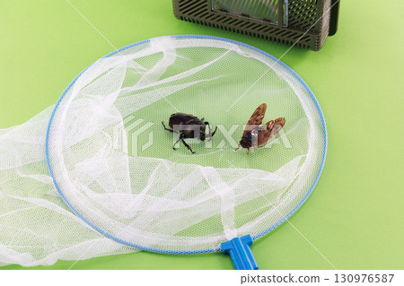 昆蟲擷取影像 130976587