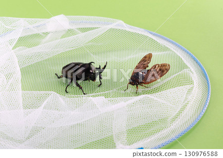 昆蟲擷取影像 昆蟲擷取影像 130976588