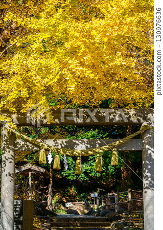 [Kanagawa Prefecture] Kamakura's Kuzuharaoka Shrine, home to the beautiful large ginkgo trees 130976636
