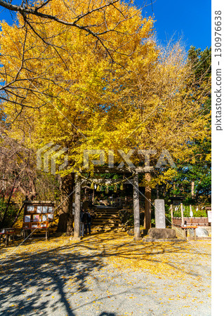 [Kanagawa Prefecture] Kamakura's Kuzuharaoka Shrine, home to the beautiful large ginkgo trees 130976638