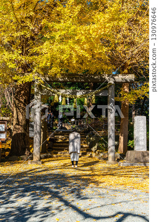 [Kanagawa Prefecture] Kamakura's Kuzuharaoka Shrine, home to the beautiful large ginkgo trees 130976646