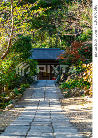 [Kanagawa Prefecture] Kamakura's Kuzuharaoka Shrine, with its lovely, tranquil atmosphere 130976666
