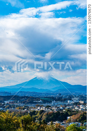 [Kanagawa Prefecture] Dynamic Mount Fuji seen from Genjiyama Park 130976670