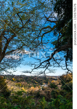 【神奈川縣】被大自然包圍的源氏山公園 130976676