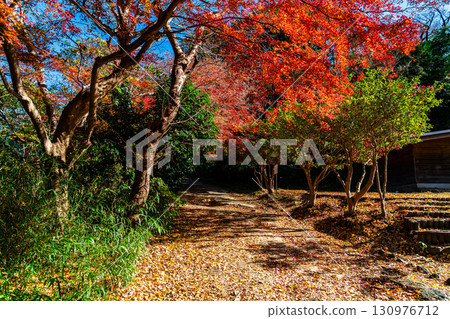 【神奈川縣】源氏山公園:紅葉漸濃 【神奈川縣】源氏山公園:紅葉漸濃 130976712
