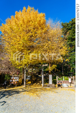 [Kanagawa Prefecture] Kamakura's Kuzuharaoka Shrine, home to the beautiful large ginkgo trees 130976717
