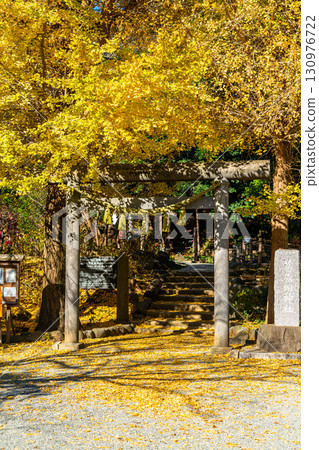 [Kanagawa Prefecture] Kamakura's Kuzuharaoka Shrine, home to the beautiful large ginkgo trees 130976722