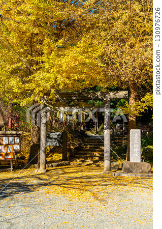 [Kanagawa Prefecture] Kamakura's Kuzuharaoka Shrine, home to the beautiful large ginkgo trees 130976726