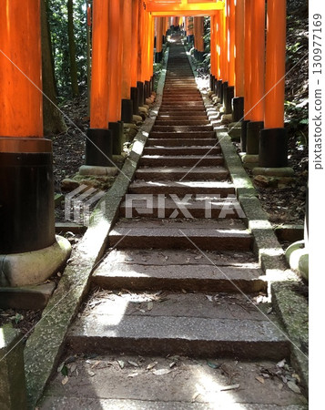 伏見稻荷大社在山頂附近 伏見稻荷大社在山頂附近 130977169