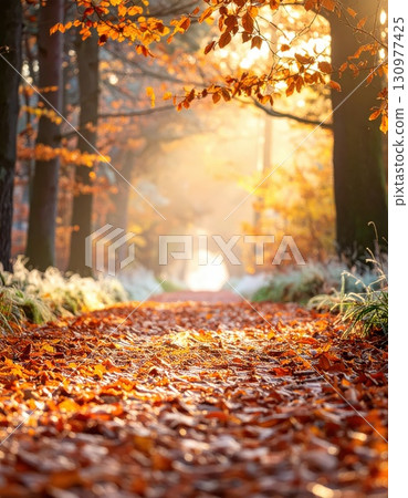 AI 圖片：漫步在陽光明媚的秋日森林中 130977425