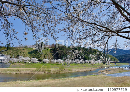 View of Gassan Toda Castle in spring (distant view of the old castle) View of Gassan Toda Castle in spring (distant view of the old castle) 130977739