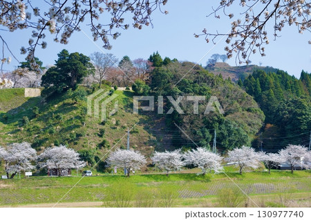 春天的月山戶田城(古城遠景) 春天的月山戶田城(古城遠景) 130977740
