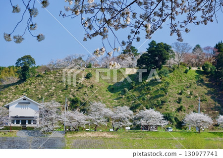 春天的月山戶田城(古城遠景) 春天的月山戶田城(古城遠景) 130977741