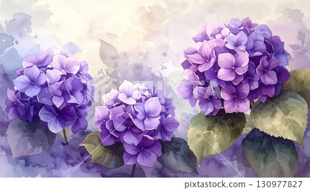 A vibrant purple iris blossom with delicate petals stands out against a verdant green background 130977827