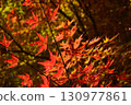鮮紅的秋葉 130977861