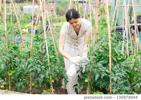 Woman works with garden spray in the yard. Treatment of plants with insecticides Woman works with garden spray in the yard. Treatment of plants with insecticides 130978044