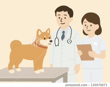 獸醫診所檢查台上的狗、醫生和護士 獸醫診所檢查台上的狗、醫生和護士 130978071
