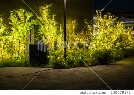 夜晚金色燈光照亮的街道樹木 夜晚金色燈光照亮的街道樹木 130979171