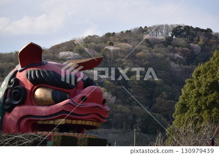 Hitachi Fudoki Hill with cherry blossoms in full bloom 130979439