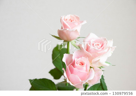 甜蜜雪崩 130979556