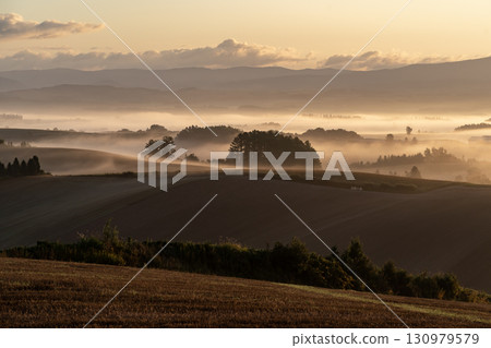 Morning mist ground 130979579