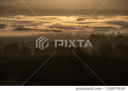 晨霧地面 晨霧地面 130979589