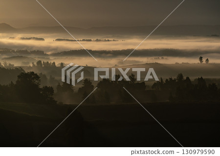 Morning mist ground 130979590