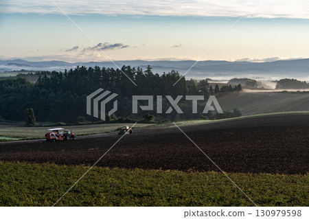 Morning mist ground 130979598