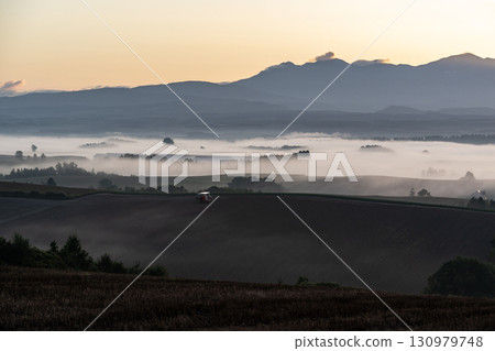 晨光之地 130979748