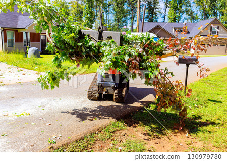 Heavy machinery clearing fallen branches from residential street 130979780
