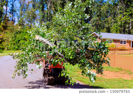 Tree removal in suburban area during work day with skid steer lifting branches Tree removal in suburban area during work day with skid steer lifting branches 130979783