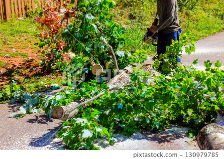 Person using chainsaw to cut down tree trunk in residential area Person using chainsaw to cut down tree trunk in residential area 130979785