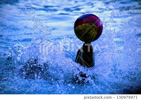 A sea lion splashing in the water A sea lion splashing in the water 130979971