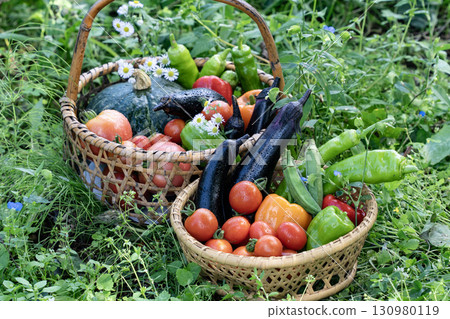 Seasonal summer vegetables 130980119