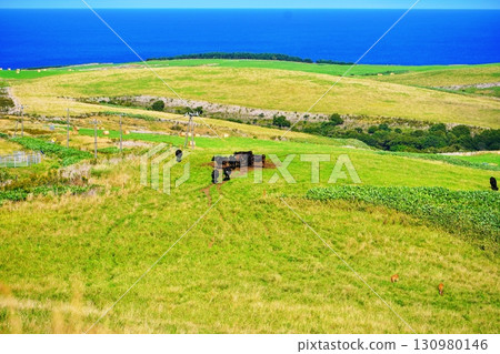 Scenery of Cape Soya Ranch 130980146