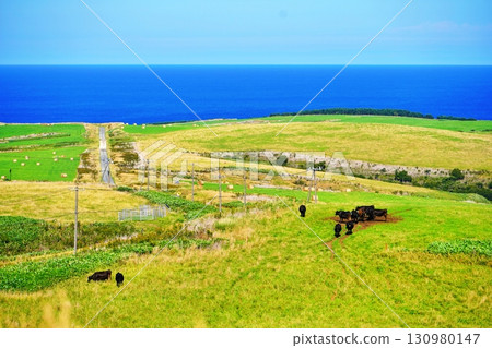 Scenery of Cape Soya Ranch 130980147