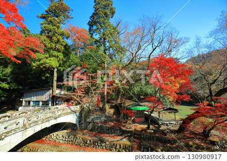 [Shiga Prefecture] Eigenji Temple on a clear day, Daiki Bridge and autumn leaves 130980917