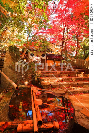 [滋賀縣]晴天時的永源寺正門和秋葉 130980920
