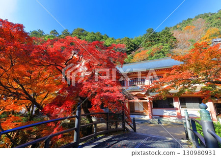 [滋賀郡]晴天永源寺的紅葉 130980931