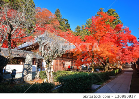 [Shiga Prefecture] Autumn leaves at Eigenji Temple on a clear day 130980937