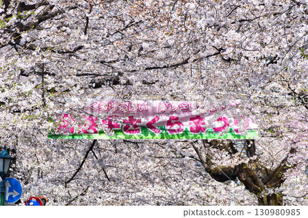 Tokiwahira Sakura Festival (Matsudo City, Chiba Prefecture) 130980985