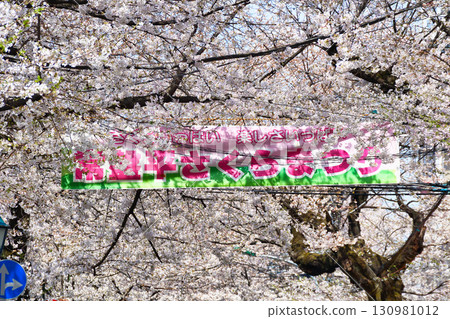 Tokiwahira Sakura Festival（千葉縣松戶市） 130981012