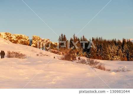 Winter landscape from Thingvellir National Park 130981044