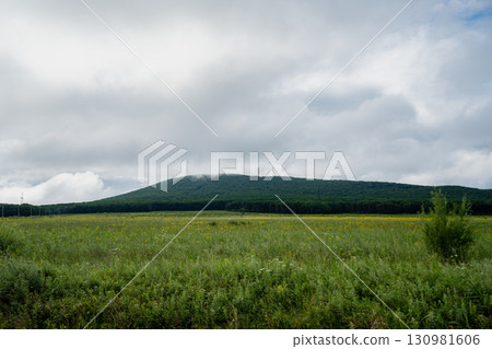 Expansive green fields and mountains in Vladivostok, Russia under cloudy sky Expansive green fields and mountains in Vladivostok, Russia under cloudy sky 130981606